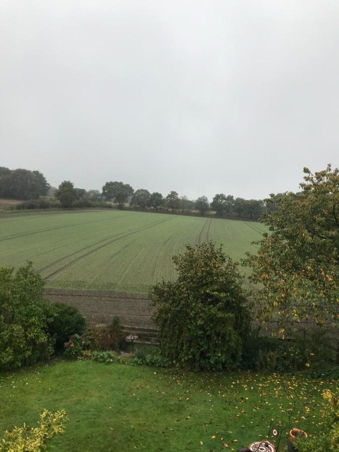 Ferienwohnung Nesthaekchen Hanerau-Hademarschen Exteriör bild